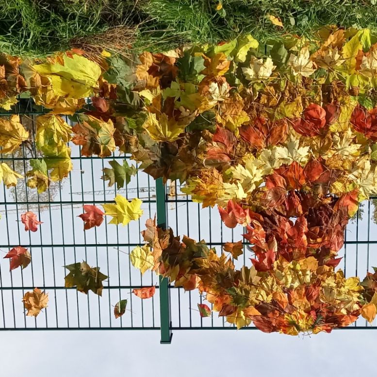 kleid aus herbstlaub